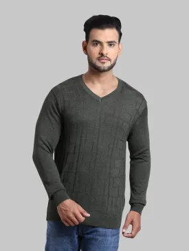 Men Green Tailored Fit Jacquard Acrylic Wool Blend Full Sleeve V Neck Collar Sweaters
